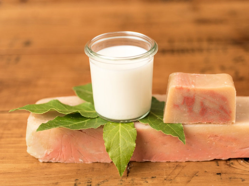 Sapone naturale artigianale al latte d’asina e alloro